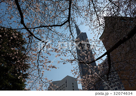 聖イグナチオ教会と桜、東京都千代田区 聖イグナチオ教会と桜、東京都千代田区 32074634