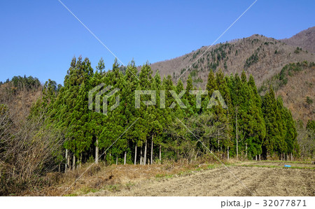 Mountain scenery in Gifu, Japan 32077871