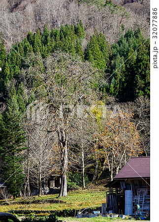 Mountain scenery in Gifu, Japan 32077886