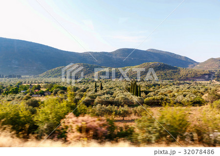 Beautiful green forest mountains at sunset 32078486