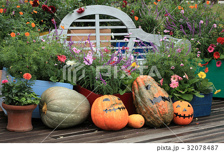 ハロウィンの野菜 32078487
