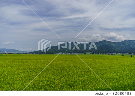 夏の六日町の田園風景 32080483