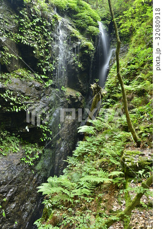 【奈良県 川上村】渓谷の水流 【奈良県 川上村】渓谷の水流 32080918