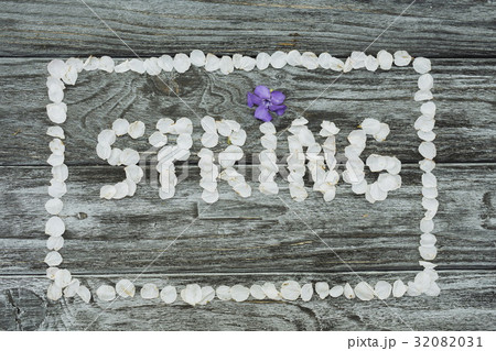 Word Spring made of white cherry blossom petals Word Spring made of white cherry blossom petals 32082031