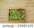 Rustic wooden tray with spinach leaves 32082103