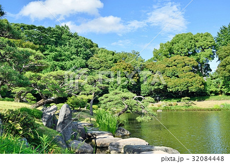 6月初夏 梅雨晴れの清澄庭園 池 32084448