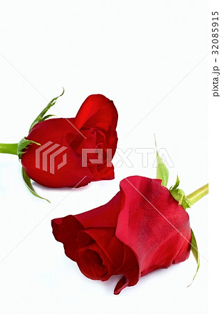 Two red roses 32085915