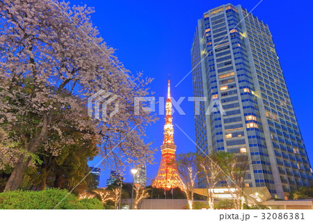 東京タワーとプリンスパークタワーと満開の桜 東京タワーとプリンスパークタワーと満開の桜 32086381