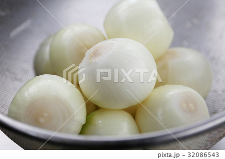小玉葱 小玉葱 32086543