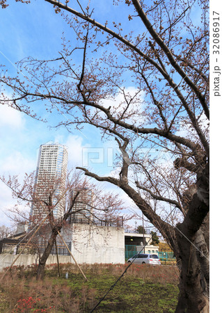 都市風景(東京、二子玉川、春編) 都市風景(東京、二子玉川、春編) 32086917