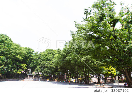 大塚公園 32087102