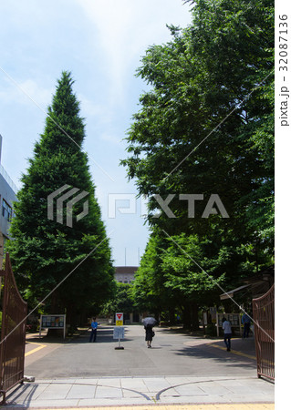 お茶の水女子大学 32087136