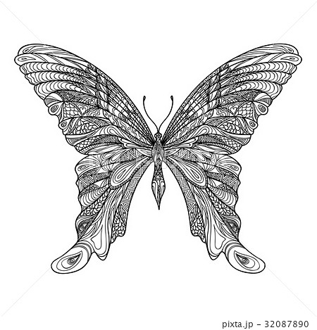 Butterfly. Floral wildlife tropical insect drawing Butterfly. Floral wildlife tropical insect drawing 32087890