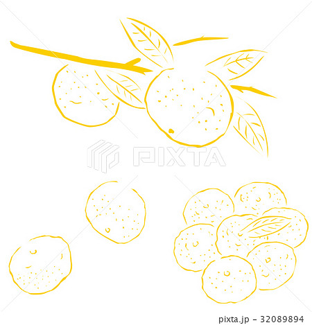 柚子 線で描くいた果物 のイラスト素材 34