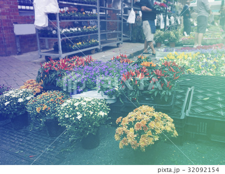 Beautiful Colourful Flowers Street Beautiful Colourful Flowers Street 32092154