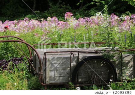 青山高原ハーブガーデン 32098899