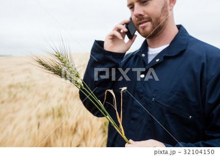 Farmer examining crops while talking on mobile phone in the field 32104150