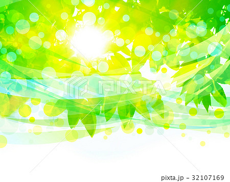 木洩れ日のと風イメージ 32107169