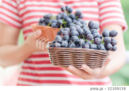 Woman holding red grape in a basket Woman holding red grape in a basket 32109158