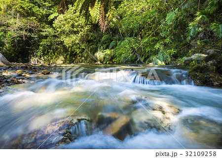 源河川、風景、沖縄。 32109258