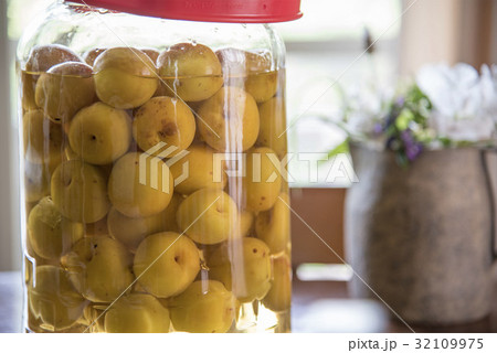 酢と氷砂糖で浸けた梅の写真 酢と氷砂糖で浸けた梅の写真 32109975