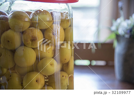 お酢で浸けた梅の写真 32109977