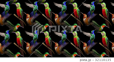 Sky bird colibri pattern in a wildlife by 32110135