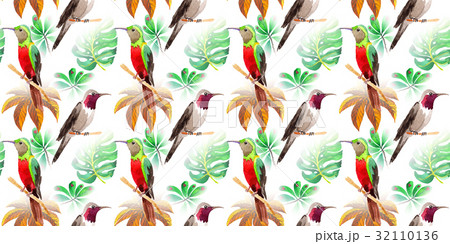 Sky bird colibri pattern in a wildlife by 32110136