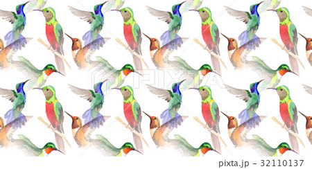 Sky bird colibri pattern in a wildlife by 32110137