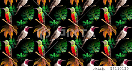 Sky bird colibri pattern in a wildlife by 32110139