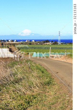 田舎風景（神奈川、三浦・横須賀、畑、冬編）　 32115163