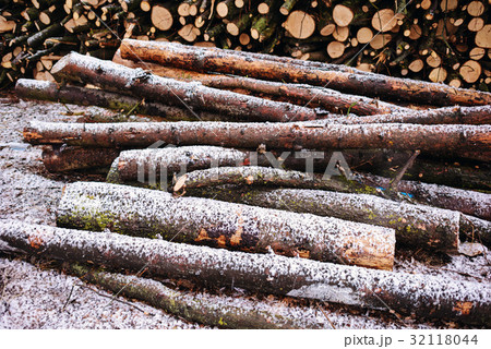 Pile of chopped fire wood prepared for winter Pile of chopped fire wood prepared for winter 32118044