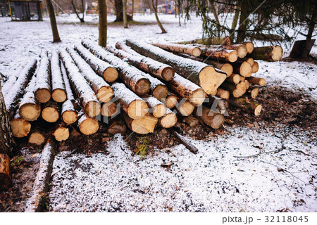 Pile of chopped fire wood prepared for winter Pile of chopped fire wood prepared for winter 32118045