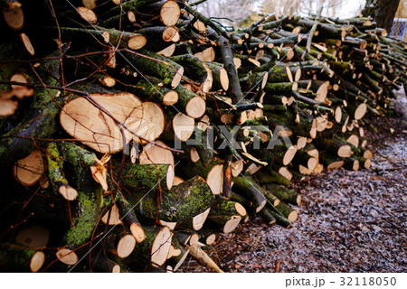 Pile of chopped fire wood prepared for winter 32118050