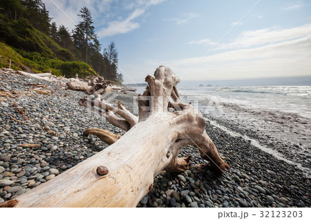 Olympic coast Olympic coast 32123203