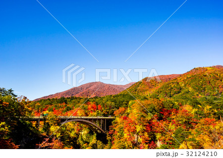 【宮城県】鳴子峡の紅葉 32124210