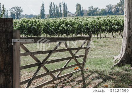 Old Wooden gate to a vineyard 32124590