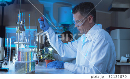 Scientist experimenting with plant 32125879