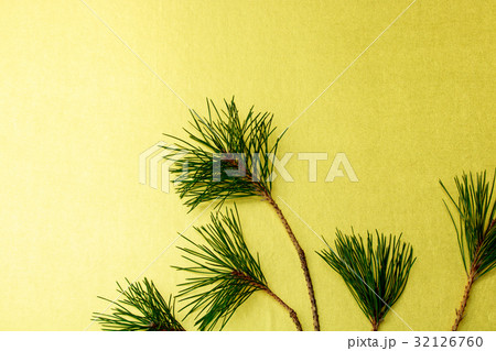 背景素材・松金和紙 背景素材・松金和紙 32126760