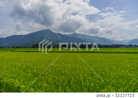 夏の六日町の田園風景 32127723