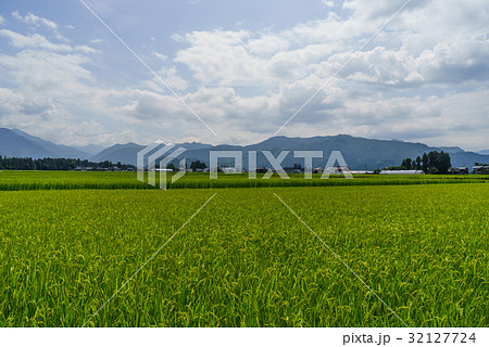 夏の六日町の田園風景 32127724