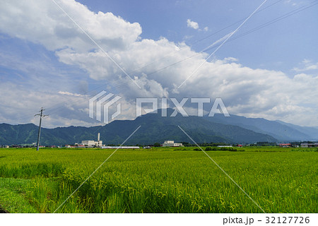 夏の六日町の田園風景 夏の六日町の田園風景 32127726