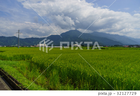 夏の六日町の田園風景 夏の六日町の田園風景 32127729