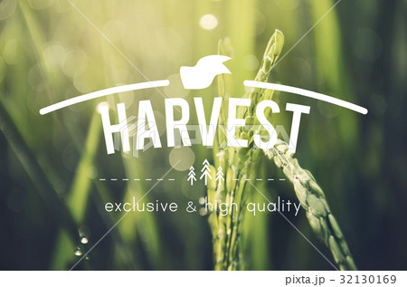 Alternative Farming Sustainable Nature Concept 32130169