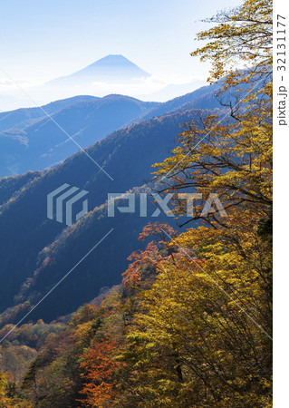 富士山と紅葉、山梨県富士川町丸山林道にて 富士山と紅葉、山梨県富士川町丸山林道にて 32131177