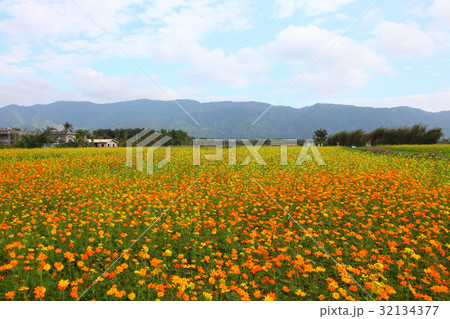 East of Taiwan 32134377