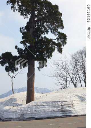 Japan Japan 32135169