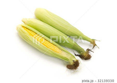 生とうもろこし 32139330