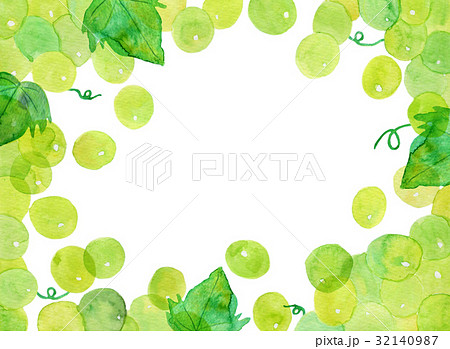 水彩フレーム 葡萄 ぶどう 水彩フレーム 葡萄 ぶどう 32140987