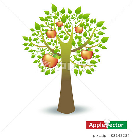 Apple Trees 32142284